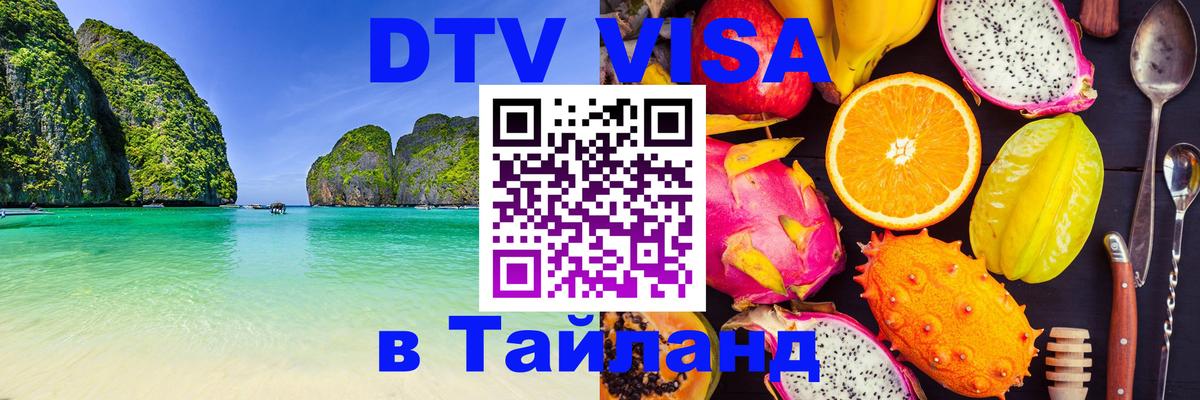 Сколько стоит DTV виза — актуальные цены, оформление даже без документов - Новосибирск  20.11.2025 